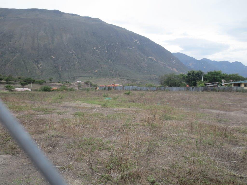 1-2-hectares-that-could-be-split-into-six-2000-square-meter-lots-live