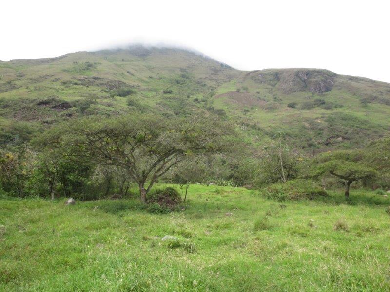 Yunguilla Valley Ecuador Real Estate and Homes for Sale
