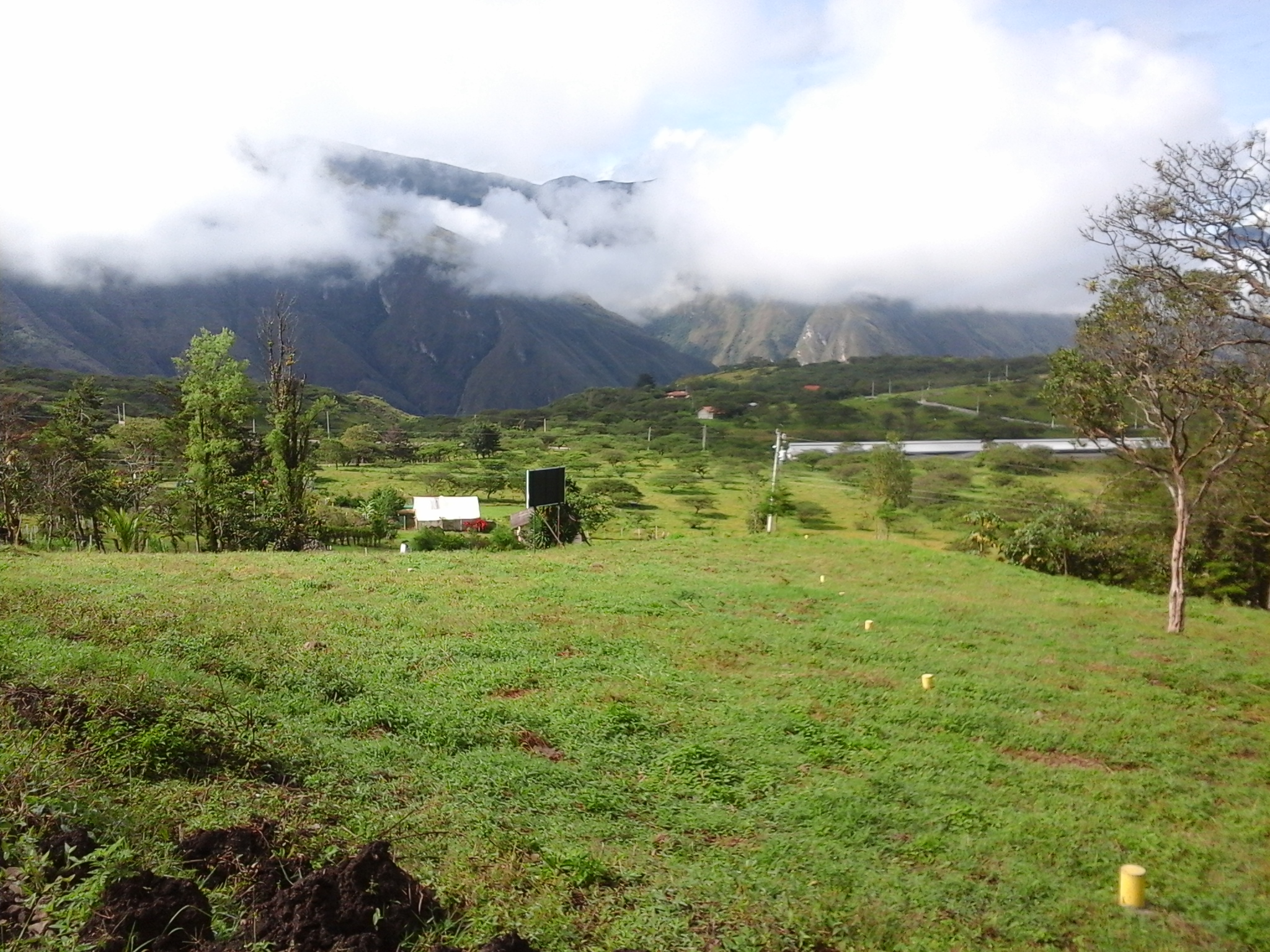 YUNGUILLA, OPPORTUNITIES!! Live the Life