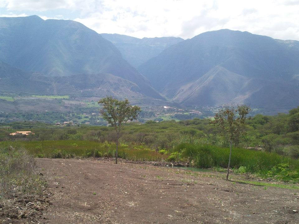 Beautiful Land 2351 mts Excellent Price in Yunguilla Valley Live
