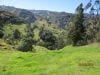 estate-sales-yunguilla-valley-land-four-hectares-irrigated-11-660x500