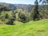 estate-sales-yunguilla-valley-land-four-hectares-irrigated-14-660x500