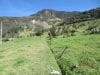 estate-sales-yunguilla-valley-land-four-hectares-irrigated-20-660x500
