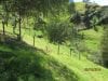 estate-sales-yunguilla-valley-land-four-hectares-irrigated-1