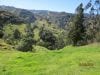 estate-sales-yunguilla-valley-land-four-hectares-irrigated-11