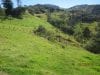 estate-sales-yunguilla-valley-land-four-hectares-irrigated-12