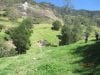 estate-sales-yunguilla-valley-land-four-hectares-irrigated-26