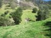 estate-sales-yunguilla-valley-land-four-hectares-irrigated-27