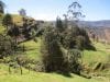 estate-sales-yunguilla-valley-land-four-hectares-irrigated-28