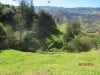 estate-sales-yunguilla-valley-land-four-hectares-irrigated-4
