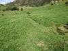 estate-sales-yunguilla-valley-land-four-hectares-irrigated-9