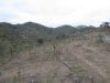 15-hectares-with-spectacular-views-of-beach-and-puerto-lopez-3-per-square-meter-10