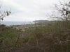 15-hectares-with-spectacular-views-of-beach-and-puerto-lopez-3-per-square-meter-3