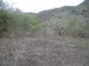 15-hectares-with-spectacular-views-of-beach-and-puerto-lopez-3-per-square-meter-7