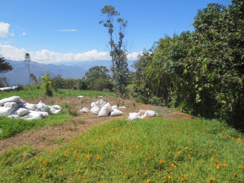 Perfectly Irrigated Land for Sale in the Yunguilla Valley