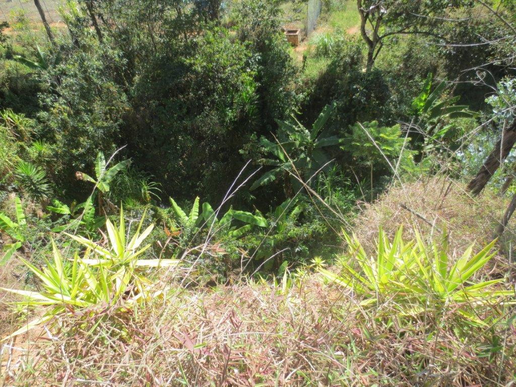 Perfectly Irrigated Land for Sale in the Yunguilla Valley