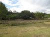 estate-sales-lentag-700-square-meters-of-construction-on-25-hectares-3