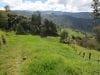 estate-sales-yunguilla-valley-nearly-5-irrigated-hectares-1