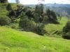 estate-sales-yunguilla-valley-nearly-5-irrigated-hectares-3