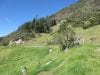 estate-sales-yunguilla-valley-nearly-5-irrigated-hectares-6