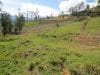lentag-lots-for-sale-with-unbeatable-views-of-the-yunguilla-valley-6