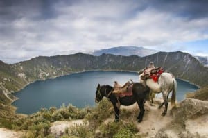 Quilotoa crater lake surrounded by highland indigeneus communities and their mules used for returning the tourists from the lake shore to the crater rim
