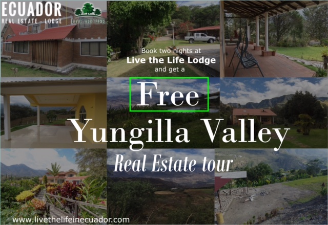 Yunguila Valley
